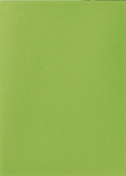 AT-11038 DS100マット スタンダードサイズ Lime パック