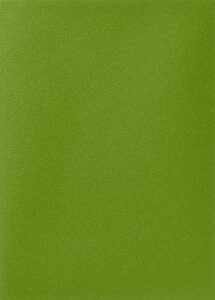 AT-11040 DS100マット スタンダードサイズ Olive パック