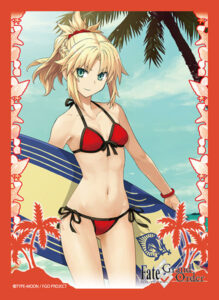 ブロッコリーキャラクタースリーブ Fate/Grand Order「ライダー/モードレッド」 パック