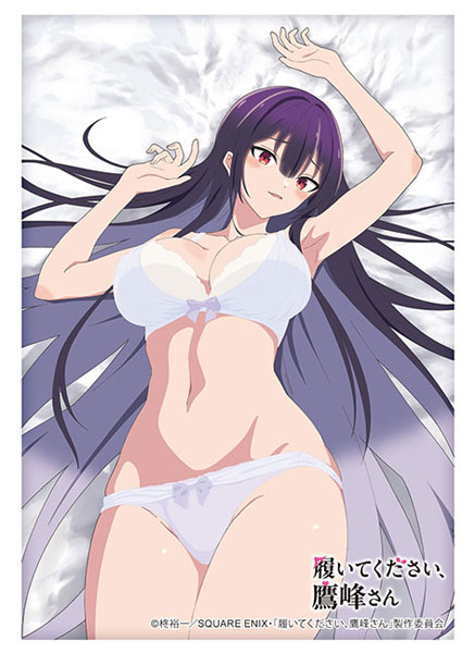 ブシロード スリーブコレクション ハイグレード Vol.4837 TVアニメ「履いてください、鷹峰さん」『鷹峰高嶺』下着ver.