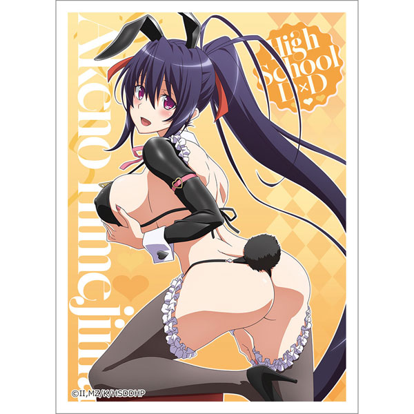 ハイスクールD×D HERO 描き下ろしスリーブ(姫島朱乃/逆バニー(黒)) パック