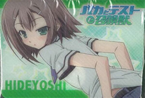 ブシロード デッキホルダーコレクション Vol.04 バカとテストと召喚獣