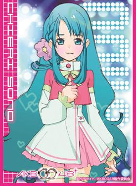 きゃらスリーブコレクション No.135 AKB0048 園智恵理 パック