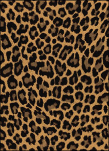 キャラクターカードスリーブ アニマル柄シリーズ LEOPARD 60枚入りパック