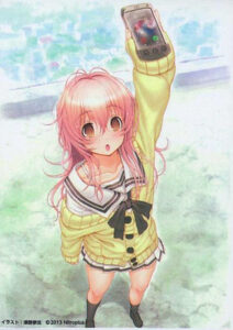 ニトロプラスカードマスターズ カードスリーブ 向日アオイ パック