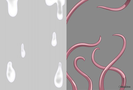 サイレントムーン オーバースリーブ 謎の白い液体 リニューアル版/触手 リニューアル版 2種セット