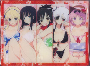キャラクターデッキケース 閃乱カグラ 国立半蔵学院