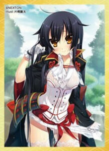 NEXTONガールズスリーブコレクション Vol.015 戦国†恋姫「久遠」 パック