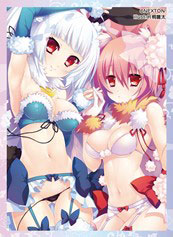NEXTONガールズスリーブコレクション Vol.024 戦国†恋姫「美空＆光璃」 パック
