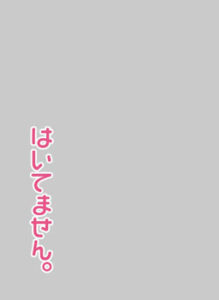 キャラクタースリーブプロテクター 【世界の名言】 「はいてません。」Ver.2 パック