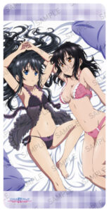 ストライク・ザ・ブラッドIV デスクマットコレクション 雪菜＆那月ver.