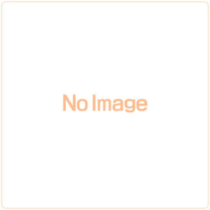 ヒーローバンクバトルカード オフィシャルスリーブ Vol.1 ザ・ドミニオン・ダラー パック