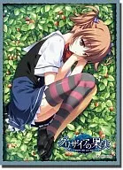 ブシロード スリーブコレクション ハイグレード Vol.89 グリザイアの果実『入巣蒔菜』