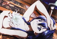 ブシロード ラバーマットコレクションエクストラ Vol.151 戦姫絶唱シンフォギアAXZ『翼＆調』 イベント限定