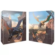 ポケモンカードゲーム コレクションファイル 色違いのリザードン ポケモンセンター限定