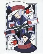 ポケモンカードゲーム オフィシャルカードファイル ノボリ・クダリ