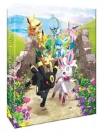 ポケモンカードゲーム コレクションファイル イーブイヒーローズ  ポケモンセンター・ポケモンストア限定