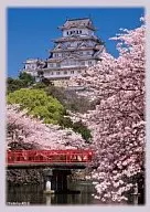 ハイブリッドスリーブ 姫路城