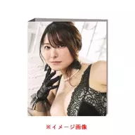 花井美理～SECRET LOVE～専用バインダー