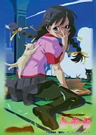 キャラクタースリーブコレクション 羽川翼「化物語」