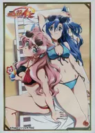 ブシロード スリーブコレクションエクストラ Vol.275 戦姫絶唱シンフォギアAXZ『翼＆マリア』 イベント限定