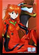 キャラクタースリーブコレクション 新世紀エヴァンゲリオン 綾波育成計画DS with アスカ補完計画 「惣流・アスカ・ラングレー」