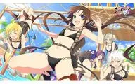 シノビマスター 閃乱カグラ NEW LINK ラバーマット(プレイマット) 秘立蛇女子学園/水着