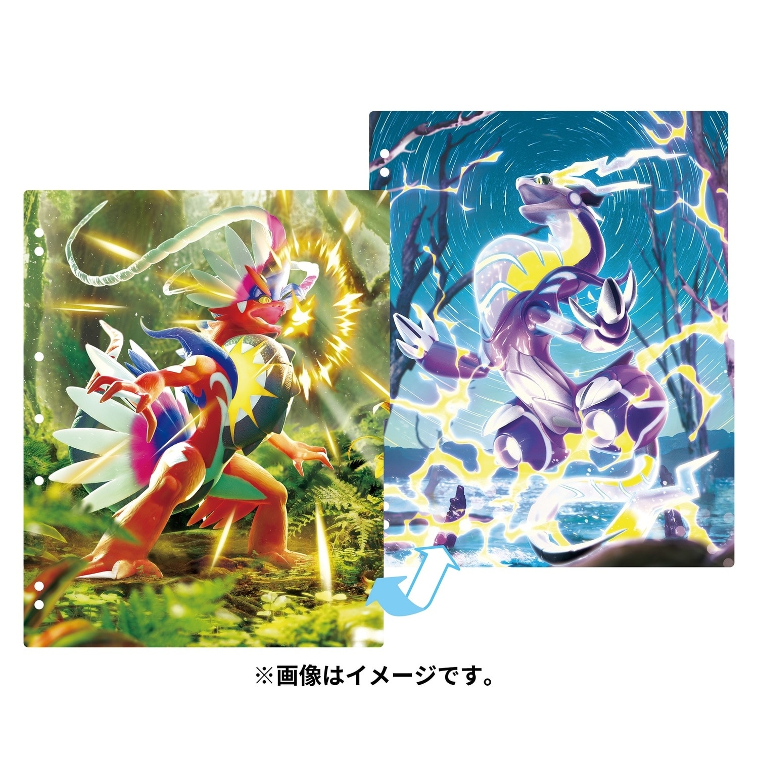 ポケモンカードゲーム コレクションリフィル コライドン・ミライドン