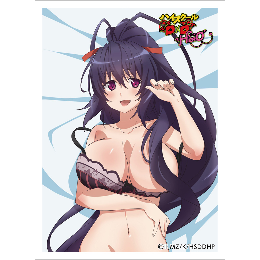 ハイスクールDxD HERO スリーブ 姫島朱乃